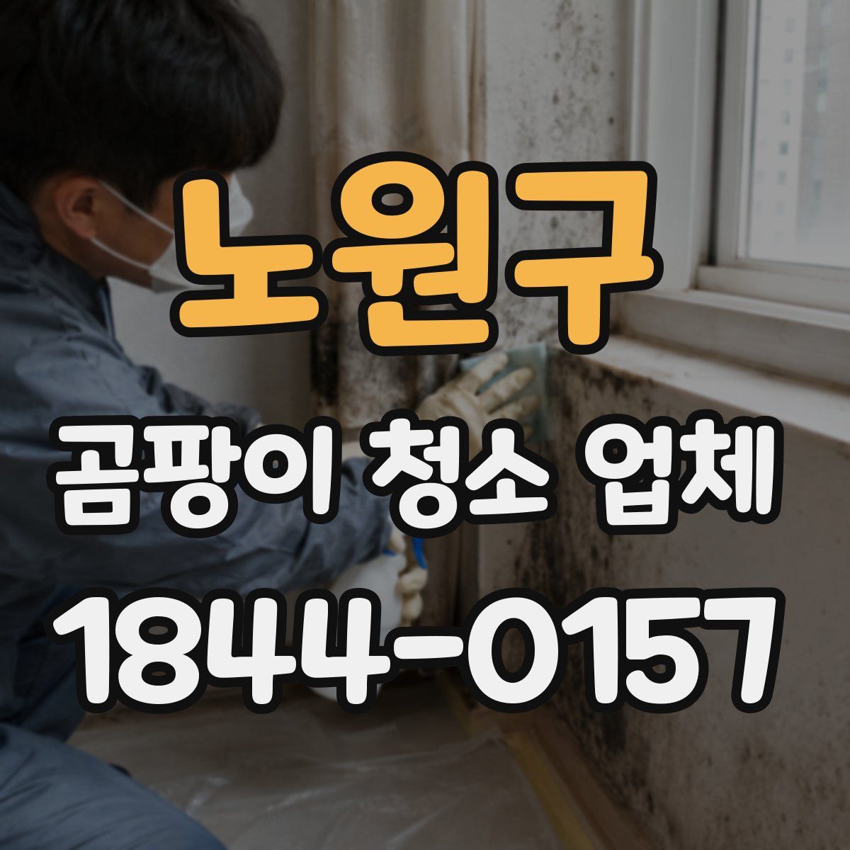 노원구 곰팡이 청소 업체