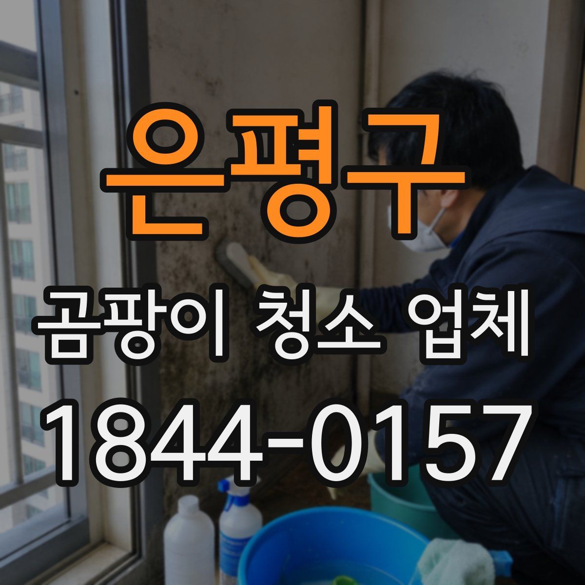 은평구 곰팡이 청소 업체