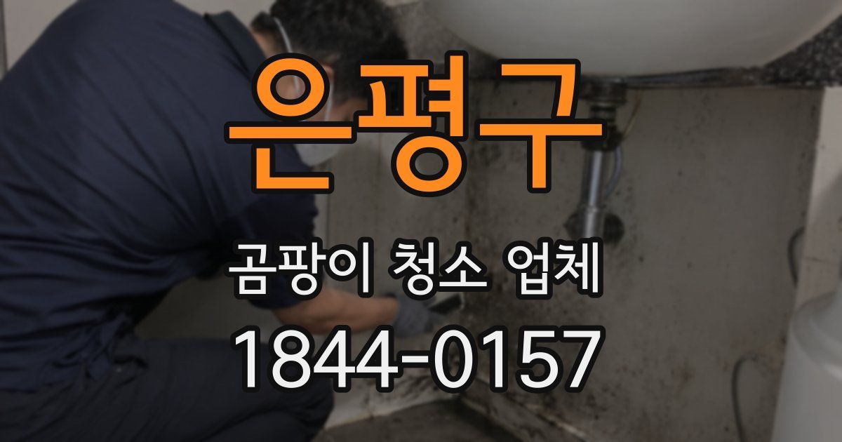 은평구 곰팡이 청소 업체