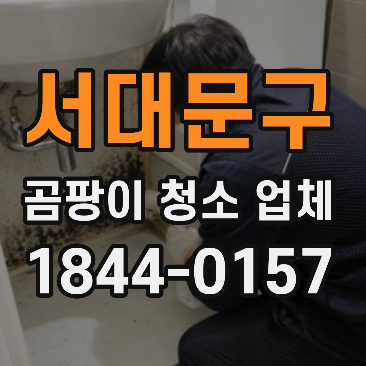 서대문구 곰팡이 청소 업체