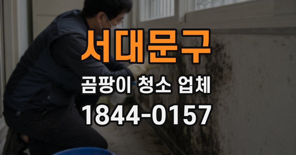 서대문구 곰팡이 청소 업체