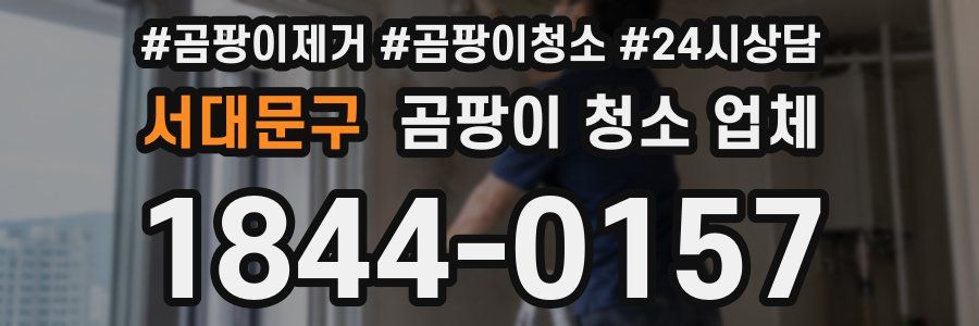 서대문구 곰팡이 청소 업체
