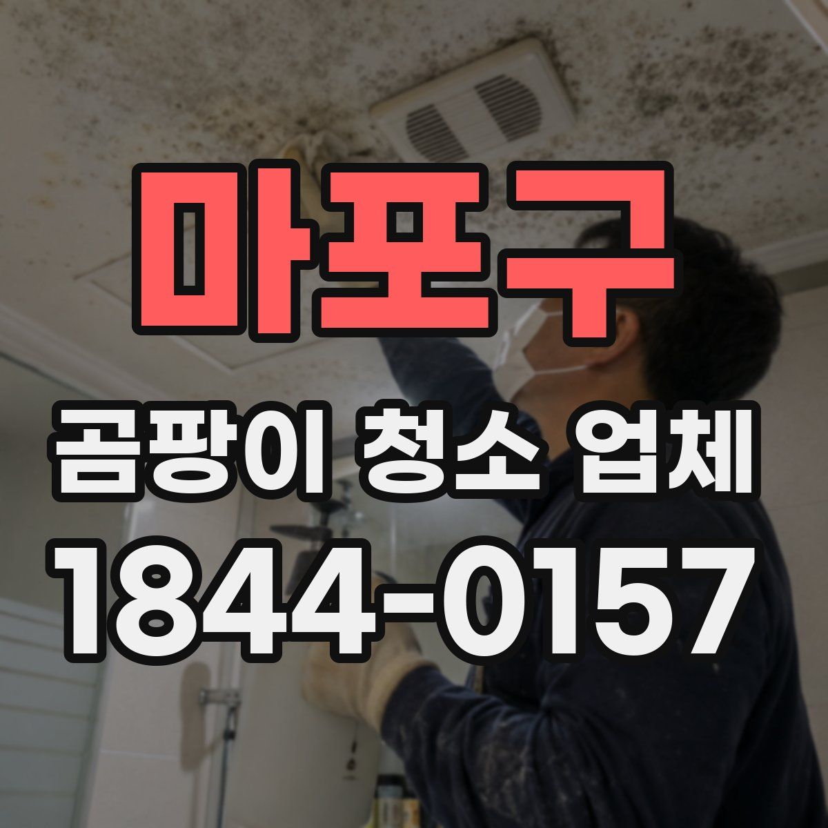 마포구 곰팡이 청소 업체