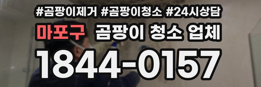마포구 곰팡이 청소 업체