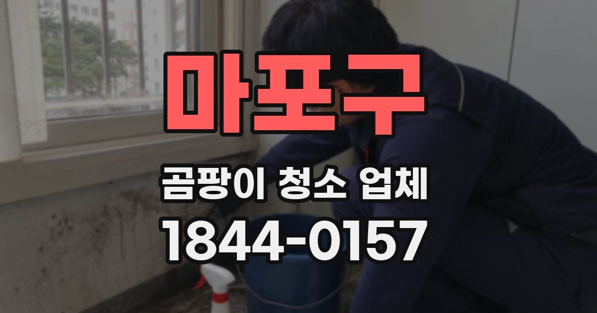 마포구 곰팡이 청소 업체