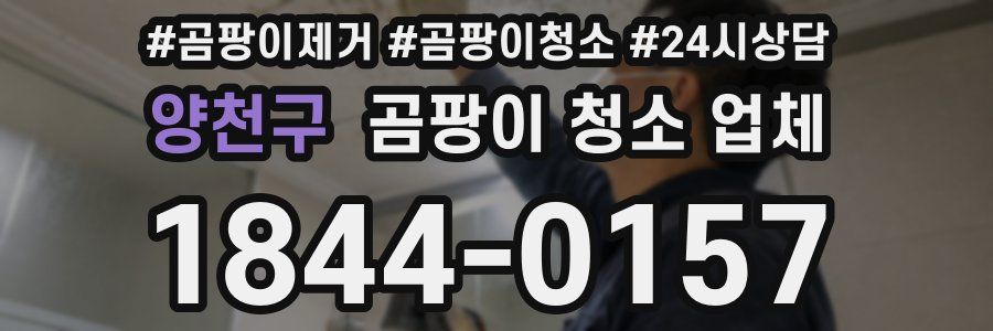 양천구 곰팡이 청소 업체