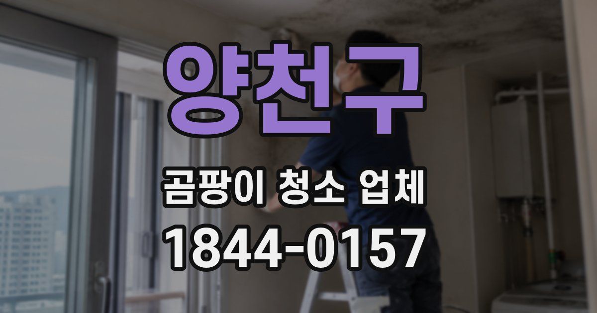 양천구 곰팡이 청소 업체