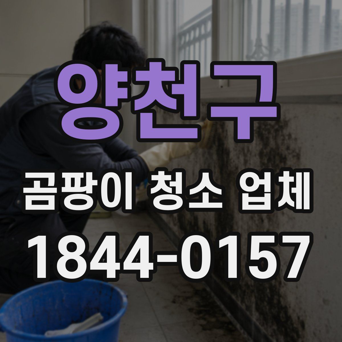 양천구 곰팡이 청소 업체