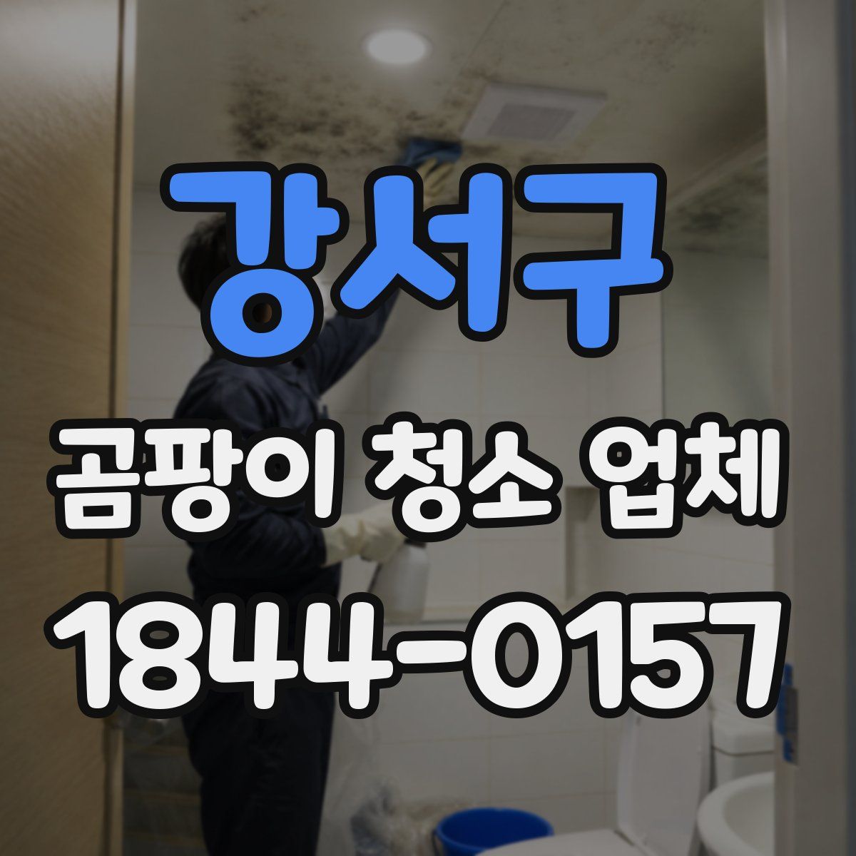 강서구 곰팡이 청소 업체