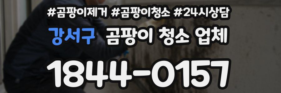 강서구 곰팡이 청소 업체