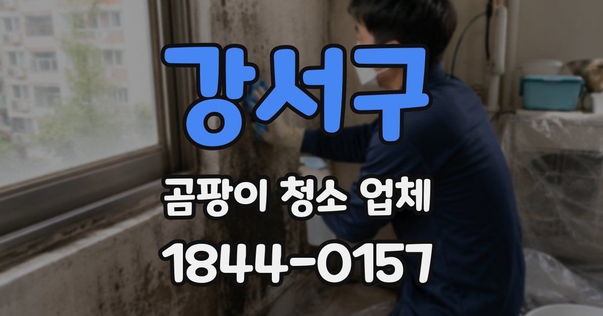 강서구 곰팡이 청소 업체