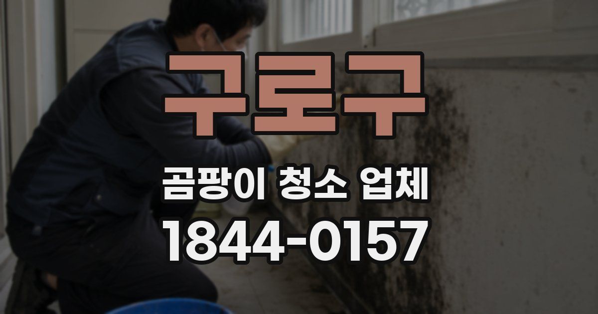 구로구 곰팡이 청소 업체