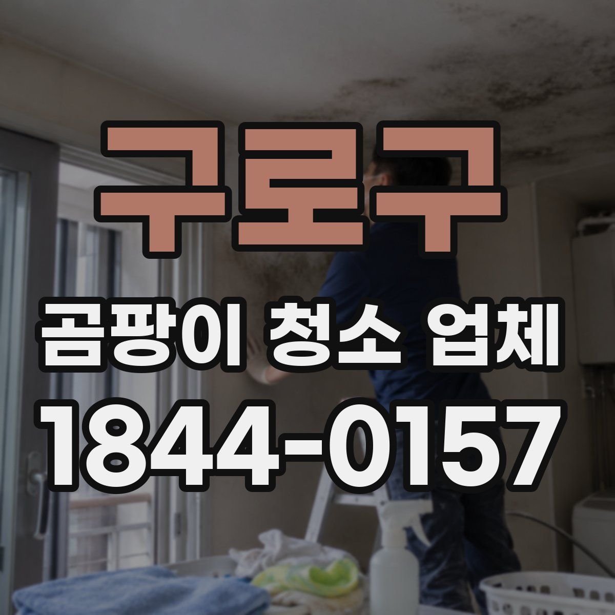 구로구 곰팡이 청소 업체