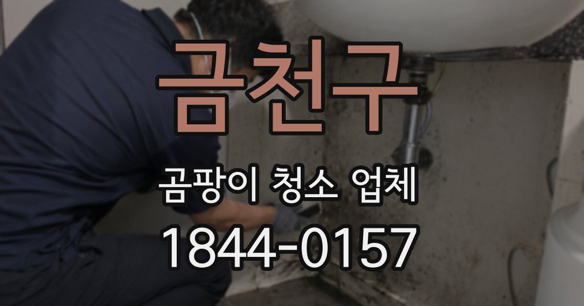 금천구 곰팡이 청소 업체