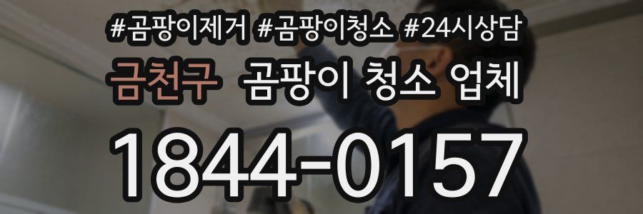 금천구 곰팡이 청소 업체