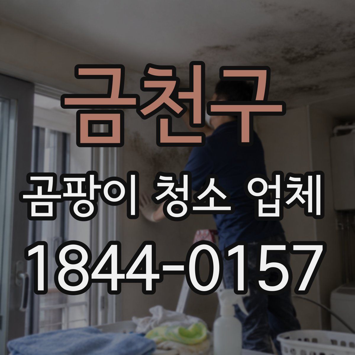 금천구 곰팡이 청소 업체