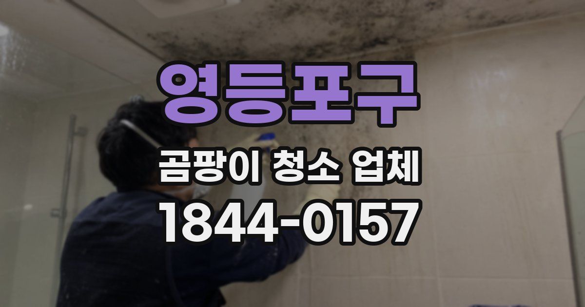 영등포구 곰팡이 청소 업체