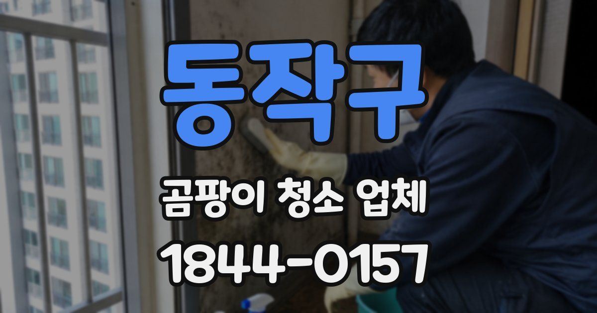 동작구 곰팡이 청소 업체