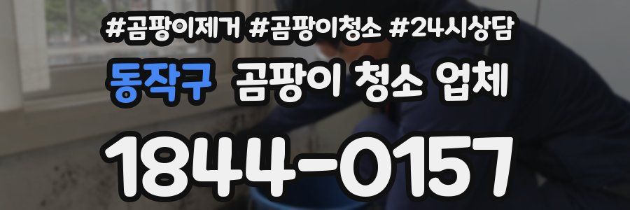 동작구 곰팡이 청소 업체