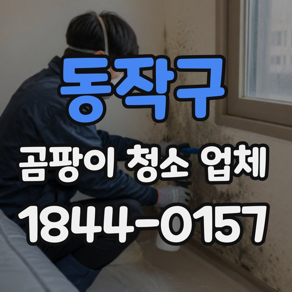 동작구 곰팡이 청소 업체