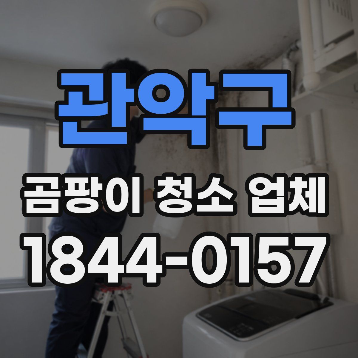 관악구 곰팡이 청소 업체