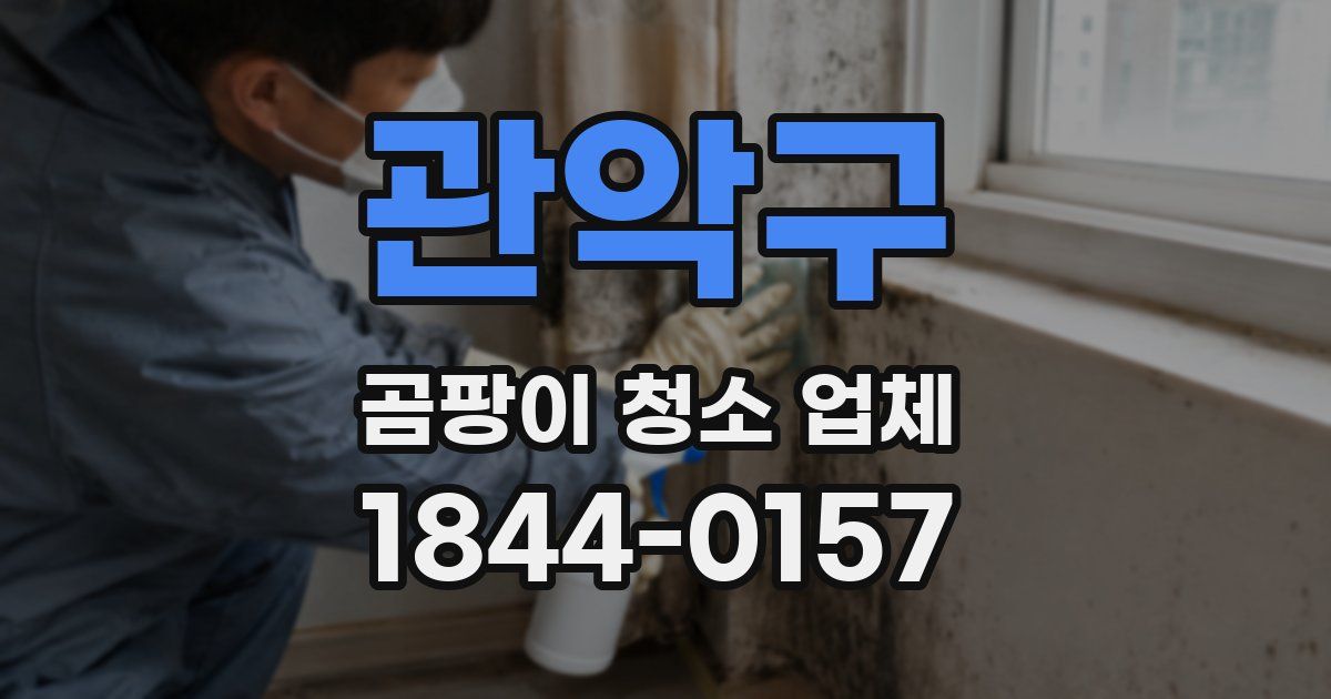 관악구 곰팡이 청소 업체