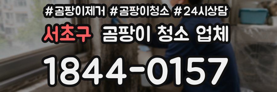서초구 곰팡이 청소 업체