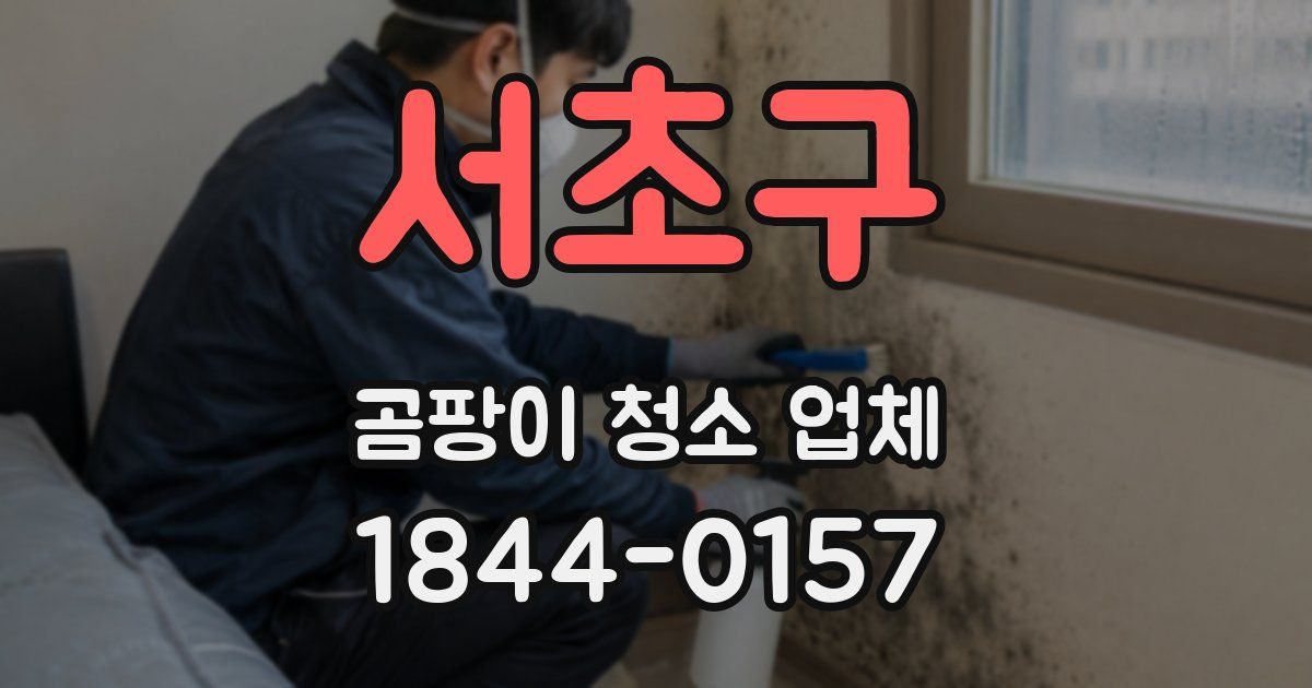 서초구 곰팡이 청소 업체