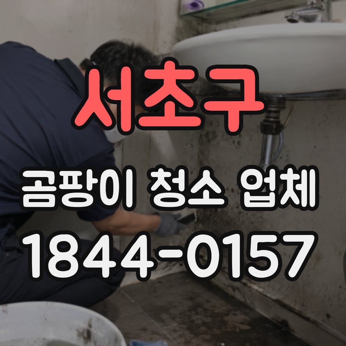 서초구 곰팡이 청소 업체