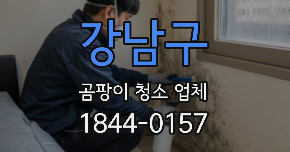 강남구 곰팡이 청소 업체