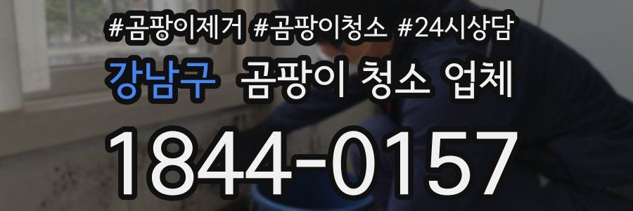 강남구 곰팡이 청소 업체