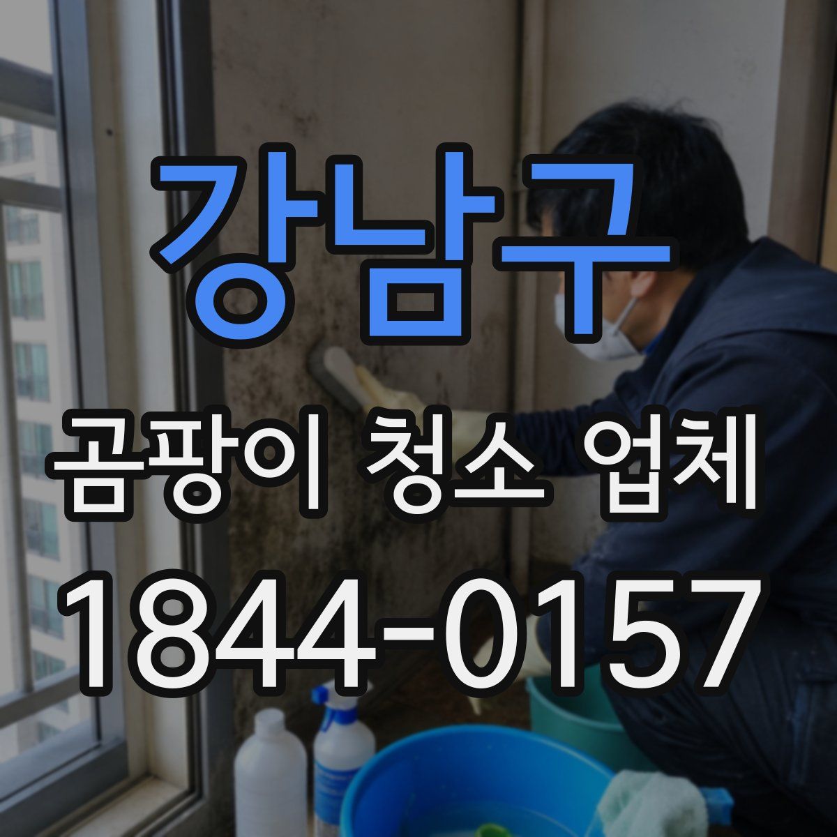 강남구 곰팡이 청소 업체