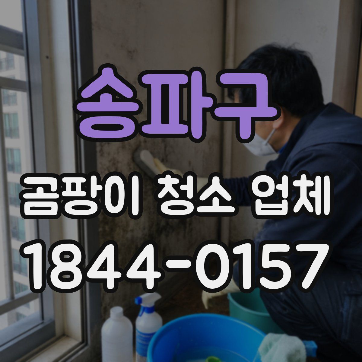 송파구 곰팡이 청소 업체