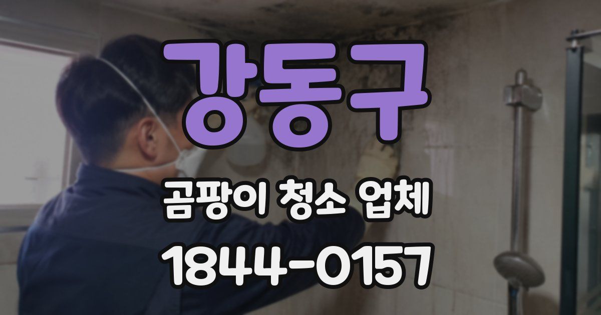 강동구 곰팡이 청소 업체