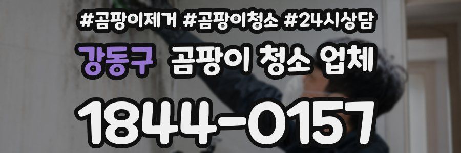 강동구 곰팡이 청소 업체