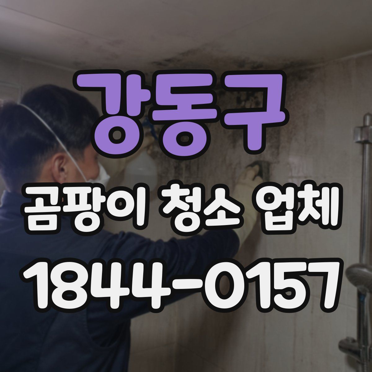 강동구 곰팡이 청소 업체