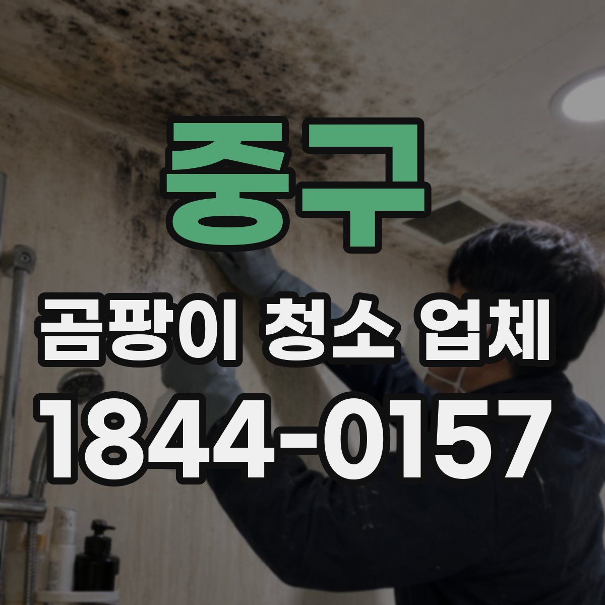 중구 곰팡이 청소 업체