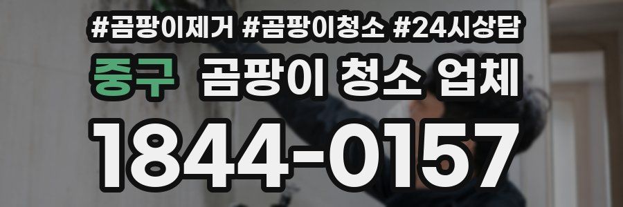 중구 곰팡이 청소 업체