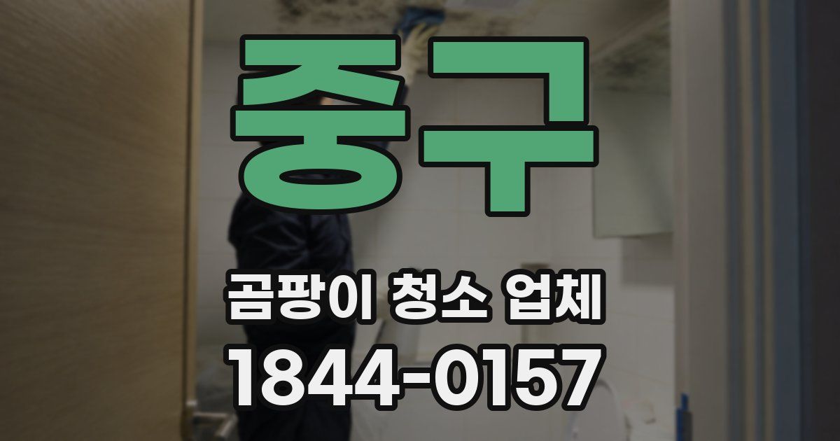 중구 곰팡이 청소 업체