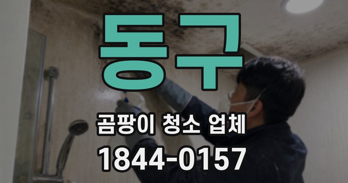 동구 곰팡이 청소 업체