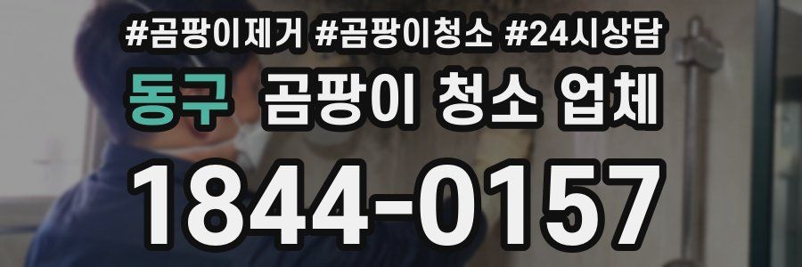 동구 곰팡이 청소 업체