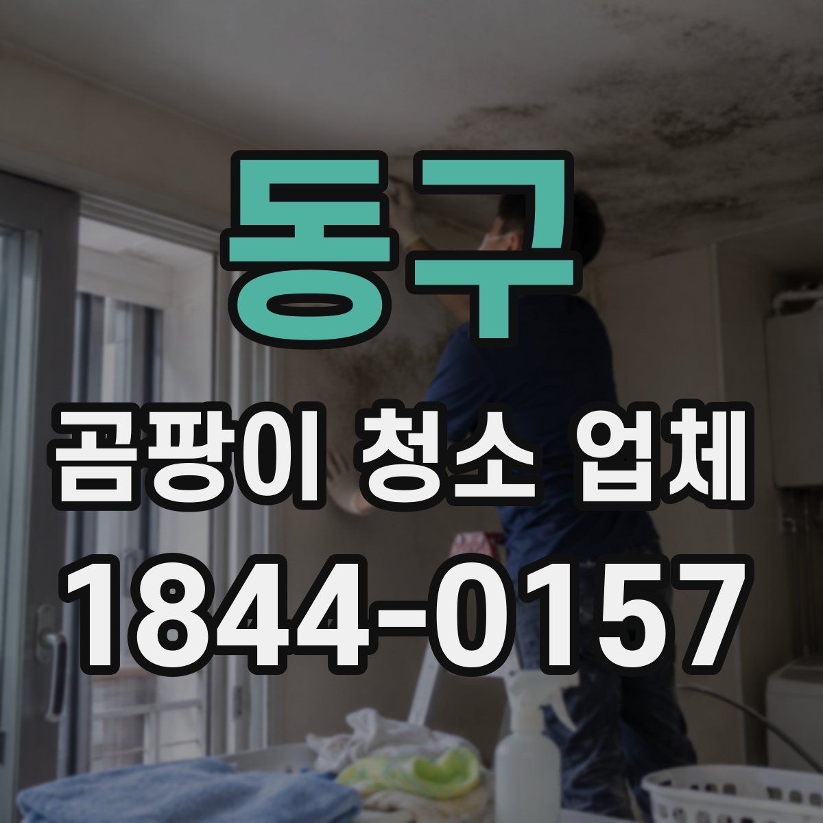 동구 곰팡이 청소 업체