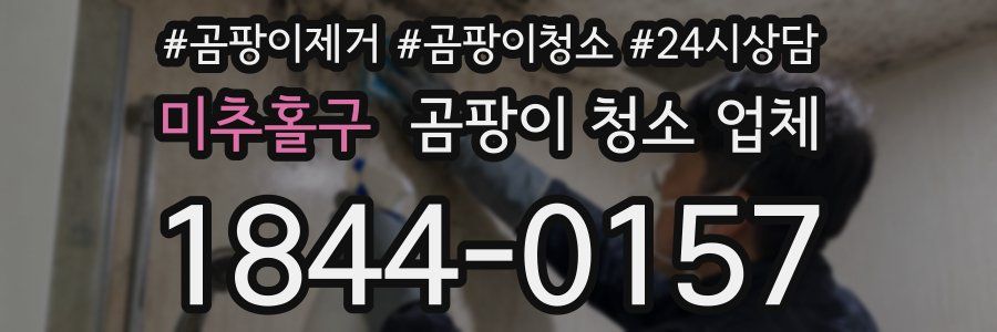 미추홀구 곰팡이 청소 업체