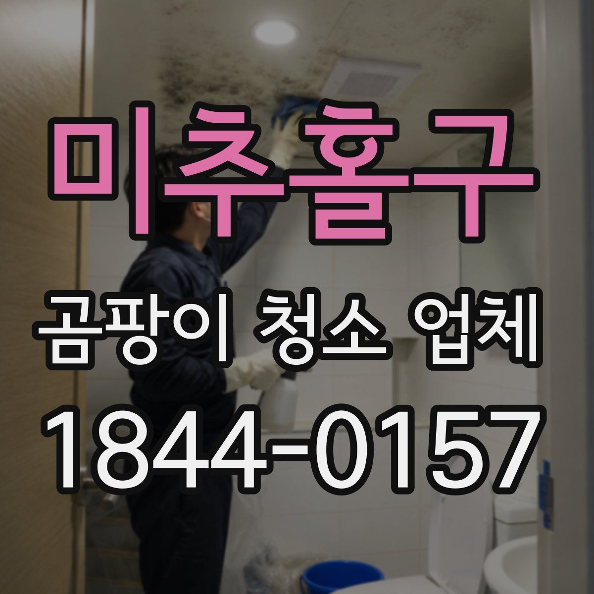 미추홀구 곰팡이 청소 업체
