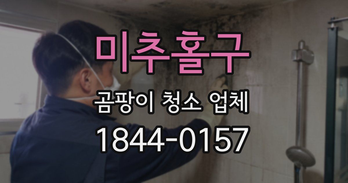 미추홀구 곰팡이 청소 업체