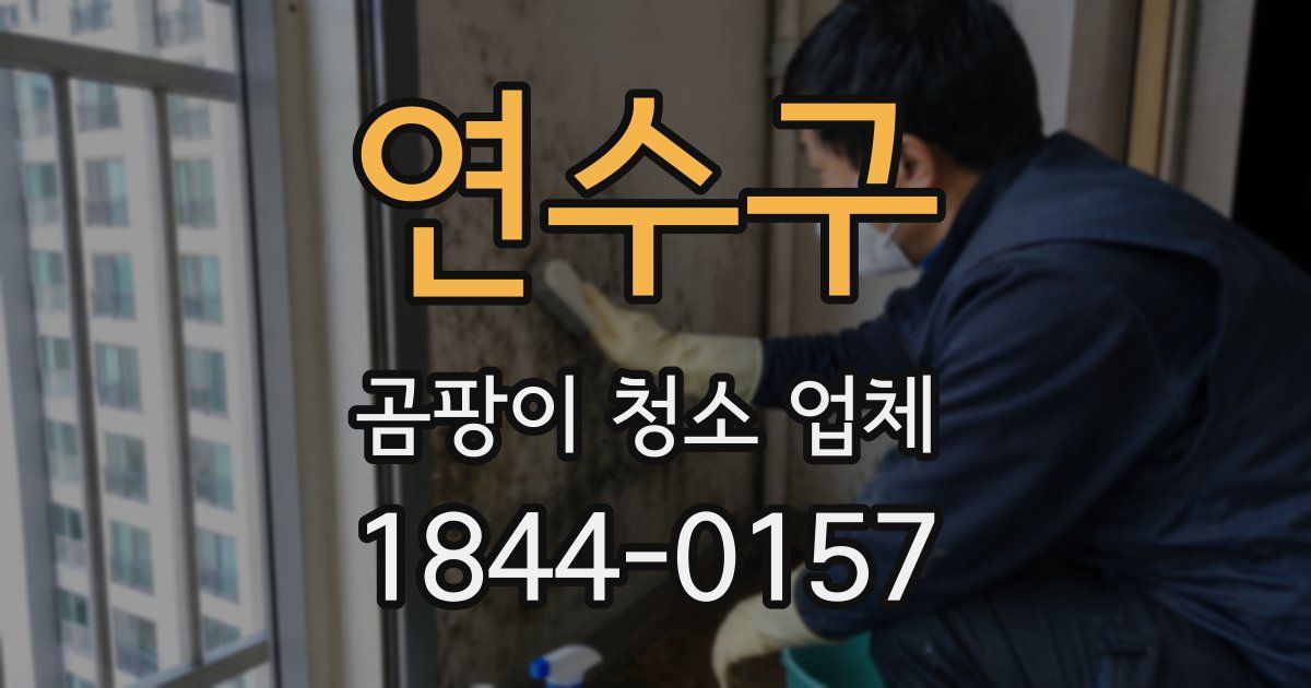 연수구 곰팡이 청소 업체