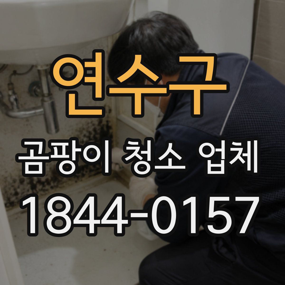 연수구 곰팡이 청소 업체