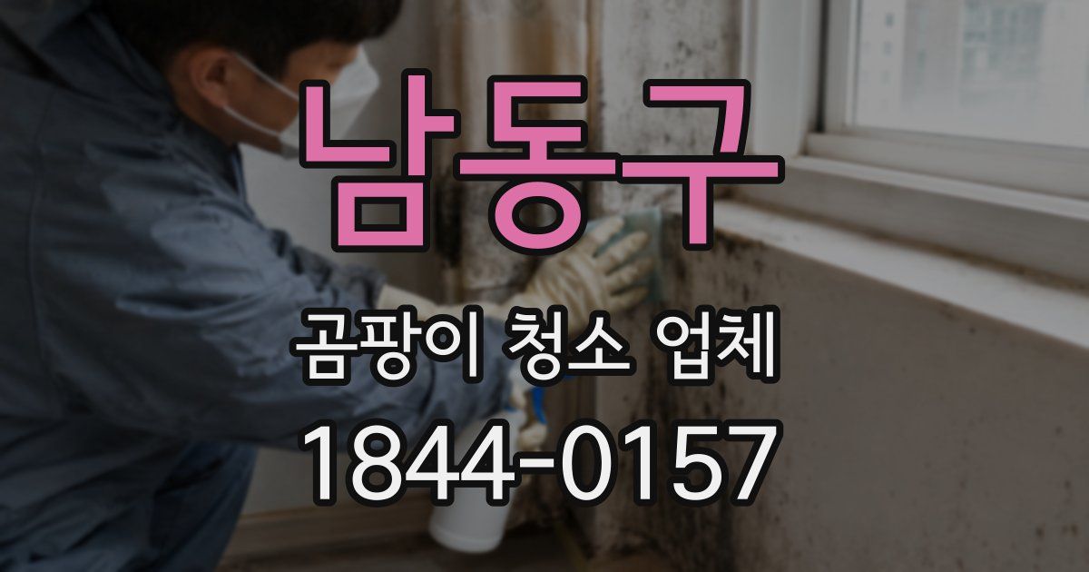 남동구 곰팡이 청소 업체