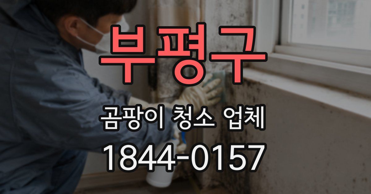 부평구 곰팡이 청소 업체