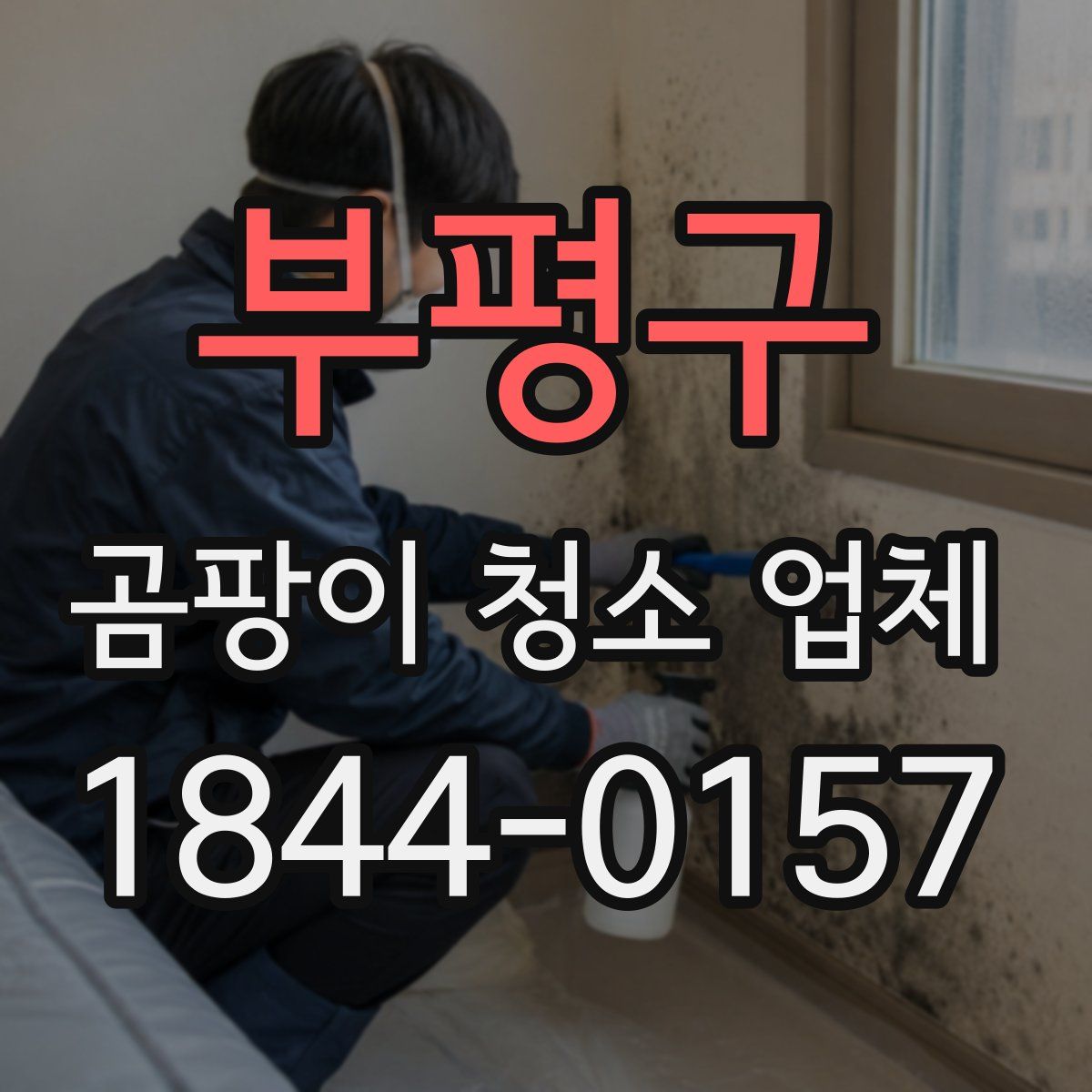 부평구 곰팡이 청소 업체